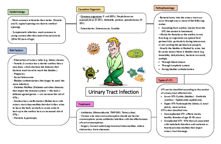 uti-concept-map-pdf-urinary-tract-infection-microbiology
