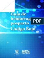 Guia Maternidad-Codigo Rojo_7A.pdf