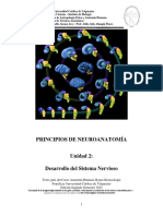 Desarrollo Del Sistema Nervioso