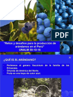 Retos y Desafios de Produccion de Arandanos en El Perú UNALM 30-10-16