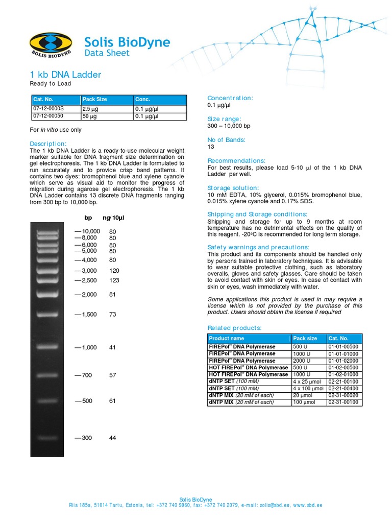 Ready-Load™ 1 Kb Dna Ladder – 1 Kb Plus DNA Ladder – NNKHC