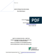 Platano1 PDF