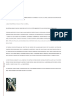 Tzotziles PDF