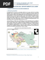 Junin Caracterizacion BCRP