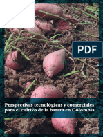 Perspectivas Tecnológicas y Comerciales para El Cultivo de La Batata en Colombia