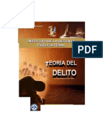 14 PENAL Teoria Del Delito IDPP