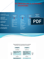 Proceso Aud.fin.