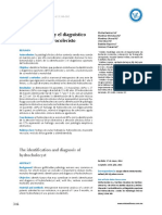 Art - Original Identificacion PDF