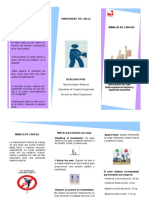 follete manejo de cargas.pdf