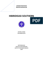 Hibridisasi 2 PDF