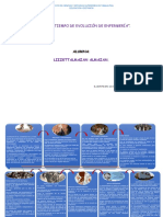 Línea Del Tiempo de Evolución de Enfermería