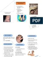 Leaflet Scabies