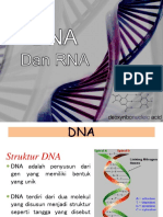 DNA Structure