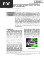 Download EFEKTIFITAS BUAH BIT BETA VULGARIS SEBAGAI DISCLOSINGpdf by Ulfa Yasmin Shahab SN360309988 doc pdf