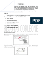 50040952-Pistola.pdf