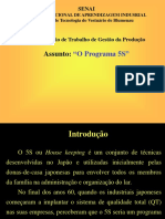 Programa 5s