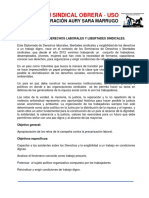 Diplomado de Derechos Laborales. Campaña