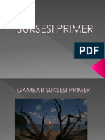 Suksesi Primer