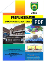 Profil Dinkes Palembang 2015 PDF