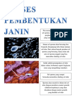 Proses Pembentukan Janin