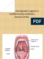 Anatomia Chirurgicală a Cavității Bucale,Vestibulul,