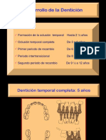 Handout Desarrolo Denticion