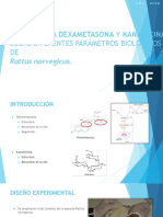 Efecto dexametasona y kanamicina parámetros biológicos Rattus norvegicus