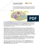 Broca's Area, Wernicke's Area, and Other Language-Processing Areas in The Brain