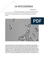 Candida Micoderma