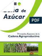 Agroeconomia Canaazucar PDF