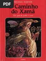 O-Caminho-do-Xama.pdf