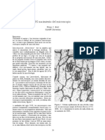 Microsco PDF