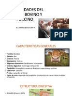 Clase 1. Generalidad Del Ganado Bovino y Porcino