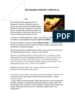 Pato o Águila Tu Decides PDF