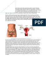 Terjemahan PDF Edit 1