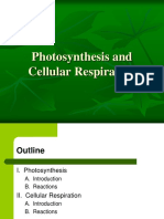 Photosynthesis and Cellular Respiration Post