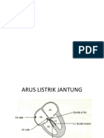 Presentation Ekg