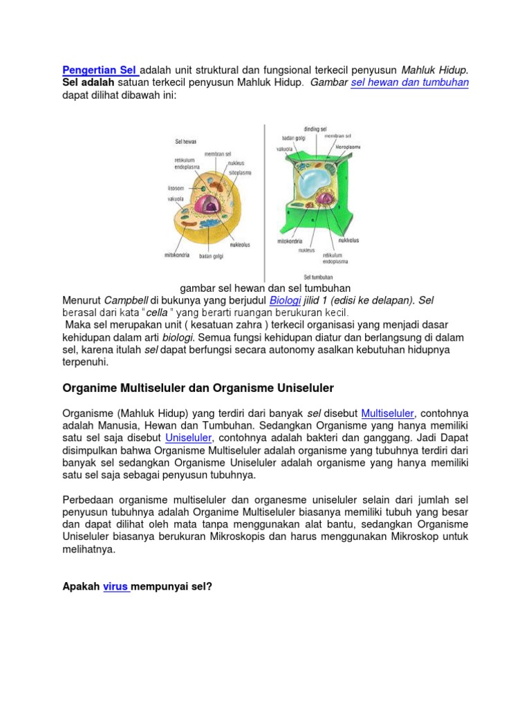 Pengertian Sel Adalah Unit Struktural Dan Fungsional Terkecil Penyusun Mahluk Hidup