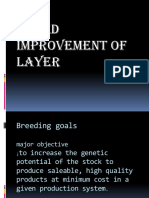 Breed Improvement of Layer