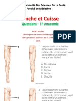 Conjugaison Progressive Du Français - Livre + Corrigés PDF