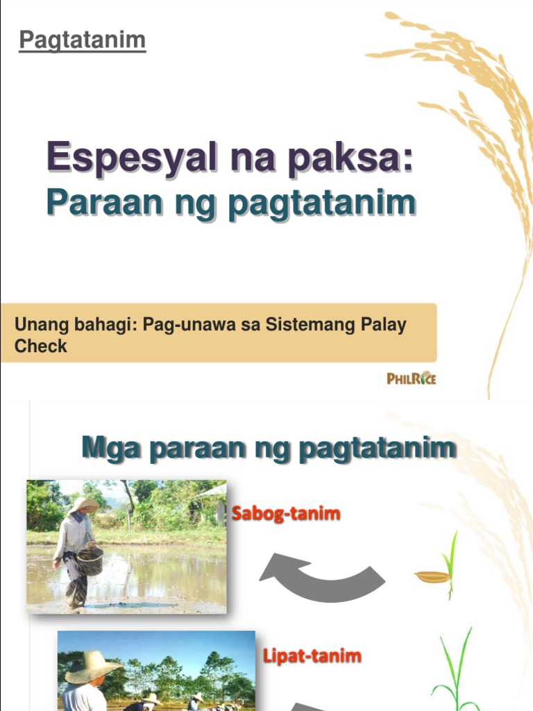 Paraan NG Pagtatanim  PDF
