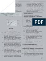 007 PDF