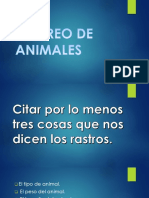 Rastreo de Animales