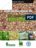 Manual tecnico de frijol.pdf