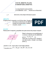 Puncte Drepte Planegeo Clasa 81 PDF