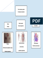Popplet Sistema Circulatorio PDF