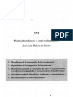 274013878-Pluriculturalismo-y-multiculturalismo.pdf