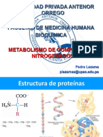 Metabolismo Compuestos Nitrgenoados)