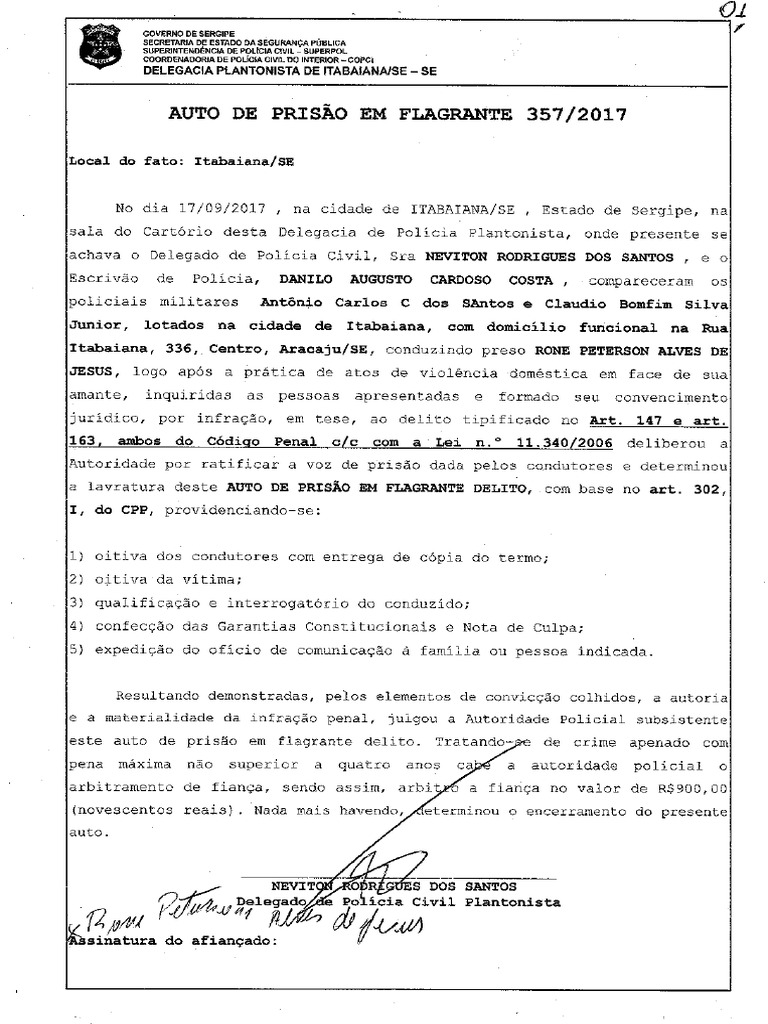 Apf Modelo | PDF