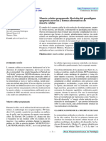 Muerte celular progamada. Revisión del paradigma apoptosis-necrosis y formas alternativas de muerte celular.pdf